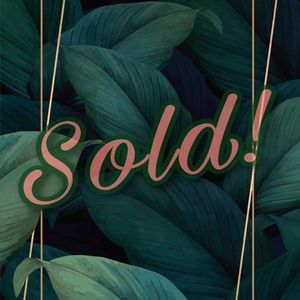 💰💰💰💰💰💰💰💰💰💰